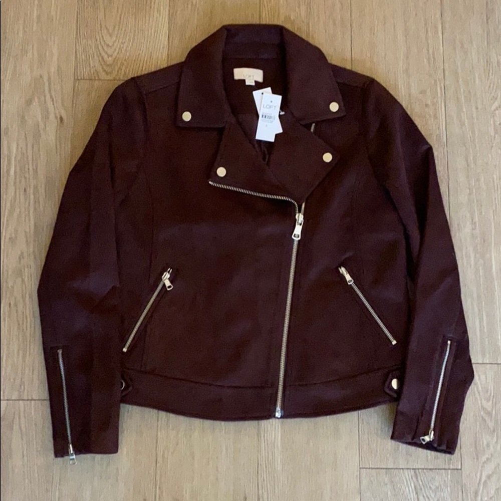 LOFT Faux Suede Moto Jacket - Picture 3 of 4